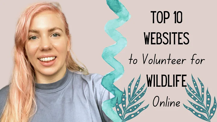 Top 10 Websites to Volunteer for Wildlife Online