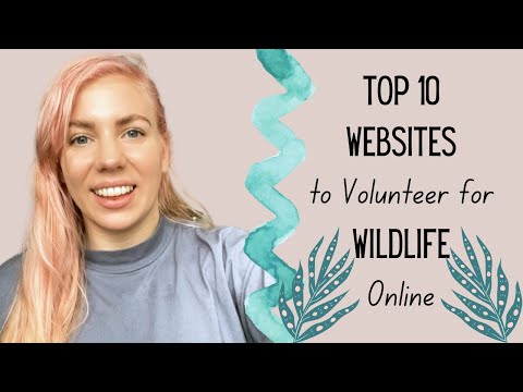 Top 10 Websites to Volunteer for Wildlife Online