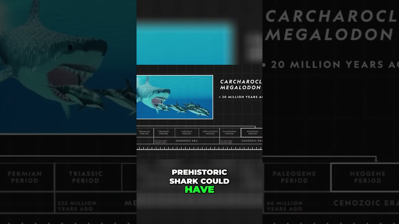 Megalodon: Prehistoric Shark vs. Whale Shark 
