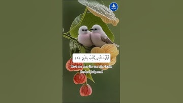 سورة الماعون #الله #القرآن #فيروسي #فيديو فيروسي #فيديو فيروسي على يوتيوب #فيديو رائج #سورة الماعون