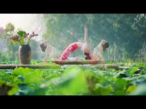 Video Tạo dáng yoga đẹp mắt bên hồ sen - youtube