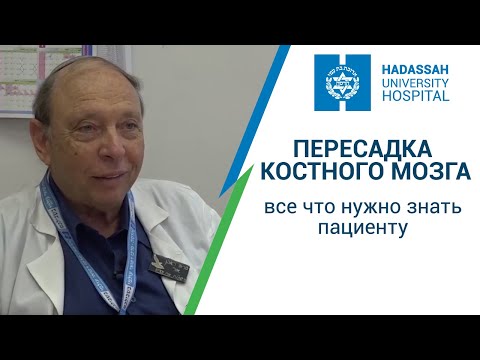 Пересадка костного мозга - все что нужно знать пациенту. Профессор Реувен Ор. Клиника "Хадасса"