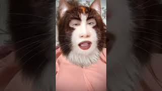 Cat Lover🐈 #CatLovers #CatVideos #CatsOfInstagram #CatReels #CuteCats #FunnyCats #KittyLove #Meow