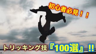 【大図鑑】トリッキング技100選！！ 