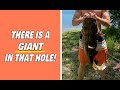 There's a GIANT in that hole! [UNDERWATER footage of catfish noodling!] | N1 Outdoors