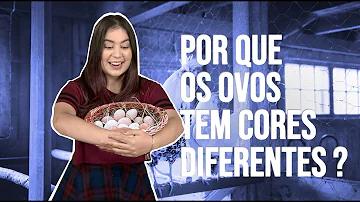 O que influencia a cor do ovo?