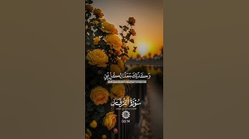 قرآن كريم 🤍🌹 راحة نفسية وسكينة #المصحف #يارب #لايك #دويتو