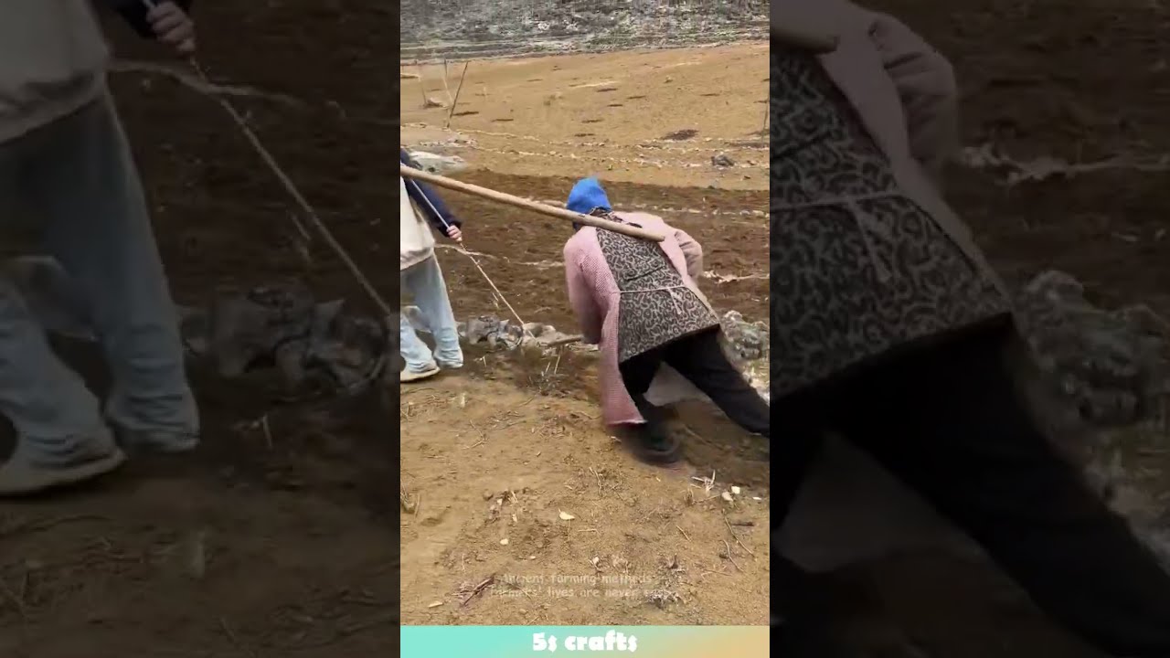 Ancient Farming Methods Farmers Lives Are Never Easy Agriculture
