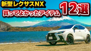 【新型NX】おすすめアイテム12選！実際に買って良かったものを厳選しました！車種問わず使えるゴミ箱や小物入れクッションなど…