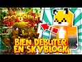COMMENT BIEN DÉBUTER SUR UN SERVEUR SKYBLOCK ? | TUTO MINECRAFT FR
