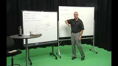 Arguments, Non Arguments, Logic