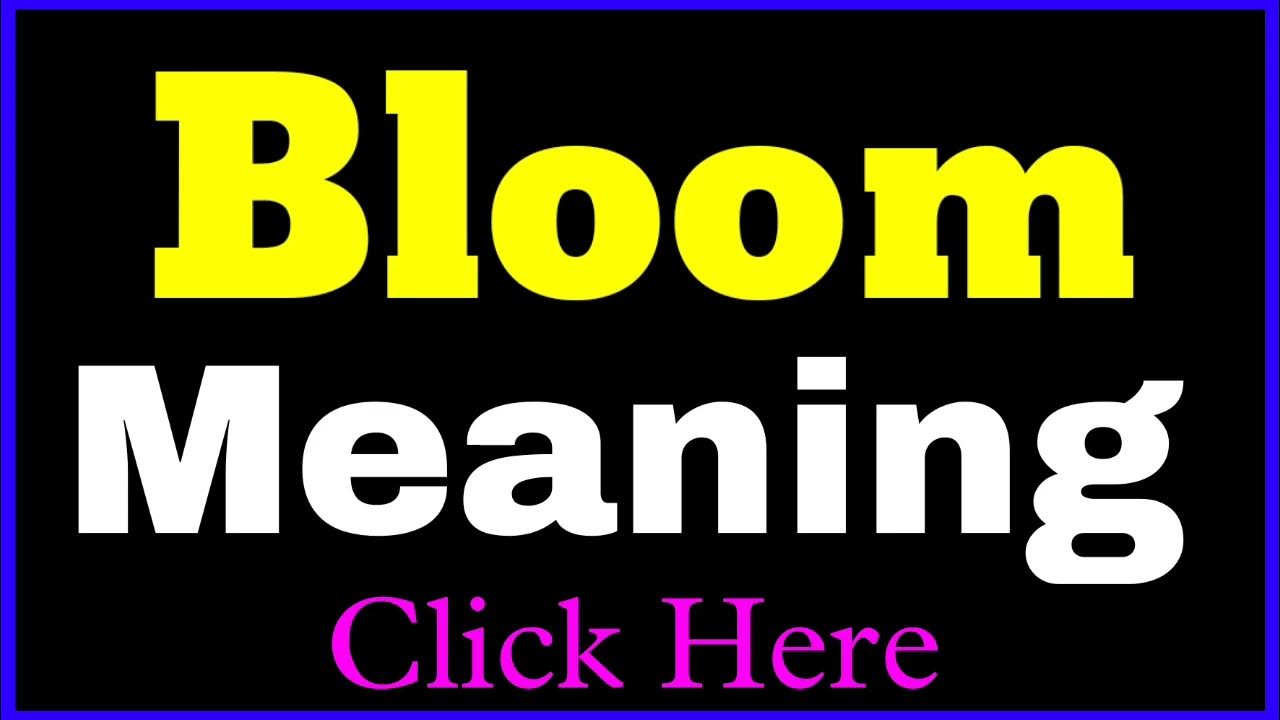 bloom-meaning-bloom-means-bloom-meaning-in-hindi-meaning-of-bloom