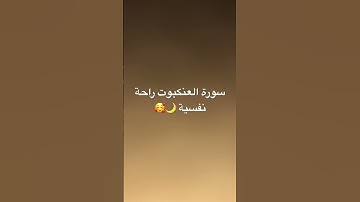 #القرآن_الكريم #اكسبلور #تيك_توك #سورة_البقرة  #آية_الكرسي #راحة_نفسية #سورةالرحمن #سورة_العنكبوت