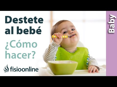 🤔Cómo hacer el