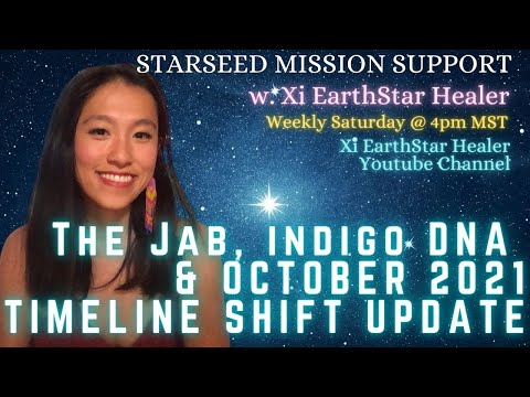 The Jab, Indigo DNA & Timeline Shift Update