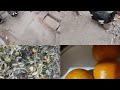 Gher Mn Lgy Lemons Ka Colour Change Ho Gea