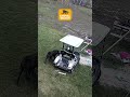 🚨 Dogs Caught With ZERO Chill 😂 #CCTV #FunnyDogs #Caught