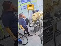 🚨 Dogs Caught With ZERO Chill 😂 #CCTV #FunnyDogs #Caught