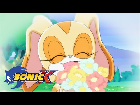 SONIC X - Ep7  La fête à la maison  | Version Française
