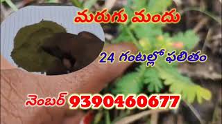 Marugu Mandu |marugu mandu virugudu ela cheyali|marugu mandu pettadam Ela|| మరుగు మందు [100%]works