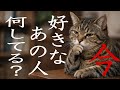 ８択✨✨あの人はいま何してる！？あの時なにしてた？