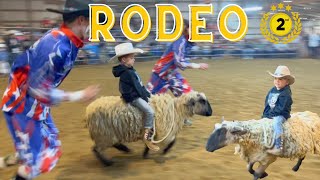 Little Cowboy wins Junior RODEO Sheep Riding! BULL RIDING/COWS/BUCKING/CHUTE/BARN/2ND PLACE