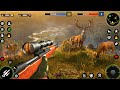 Insane Animal Hunting Adventure in Wild Hunt Simulator (Full Gameplay) Shooting Hunting game 