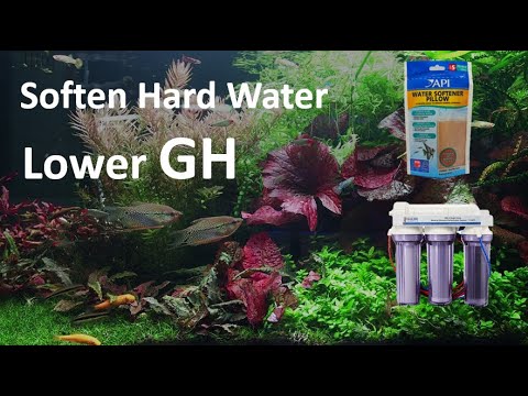 Video: Sådan blødgør du vand i et akvarium: professionelle produkter og hjemmemetoder, specielle filtre, kontrol af vand for blødhed