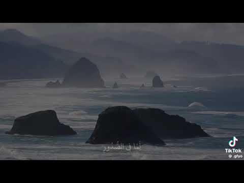 القارئ محمد هشام سورة يونس