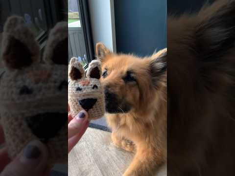 crochet airpods case🐕#shorts #shortsclip #crochet #airpods #germanshepherd #crochetwithme #fyp #fy (video tutorial)