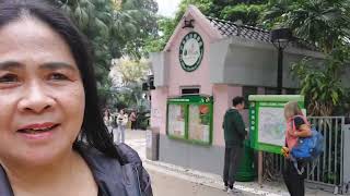 Peak Tram and Hongkong  Park  Adventure  3/17/2024