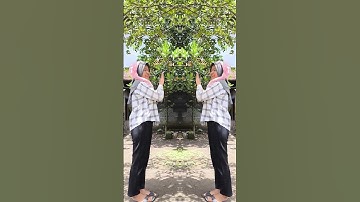 Kembaran 😱 #shorts #funny #viralvideo