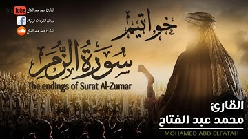 خواتيم سورة الزمر | القارئ محمد عبد الفتاح