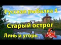 Русская рыбалка 4. Линь и Угорь на Старом остроге. Трофей.