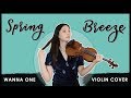 《Spring Breeze》- WANNA ONE (워너원) Violin Cover (w/Sheet Music)