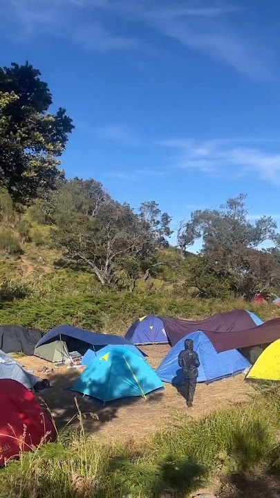 Camp di #Lembah Lengkehan Gunung #Arjuno #pendakian #kemah #camping #campground