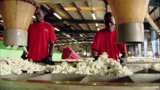 Jobs at Firestone Liberia