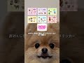 みるちステッカー販売されました！✨