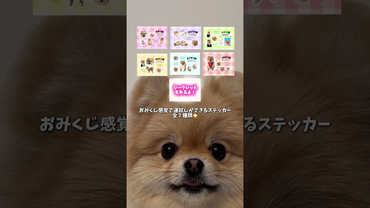 みるちステッカー販売されました！✨