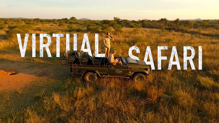 Virtual Safari - Africa 2020