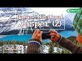 Zircaos vuelta al mundo -Cap.86- Jasper National Park, Canada (parte 2)