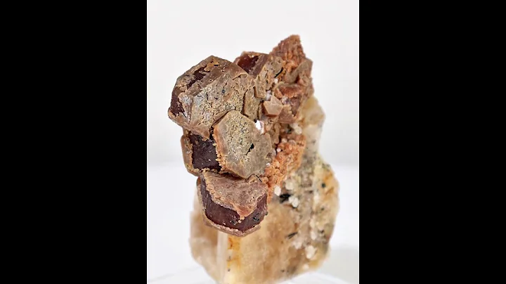 Bastnasite on Matrix - Pakistan | Fine Art Minerals | Bastnasite |