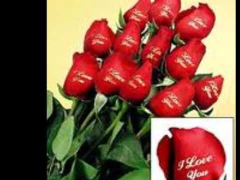 GEORGE ELRASSI mita ashoufak