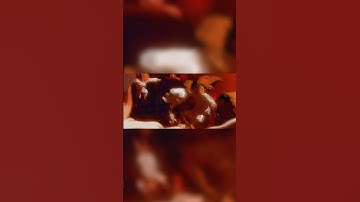 saudade || #alnst #alienstage #edit #tloz #loz #angst #mizisua #mizi #sua #angstedit #doom