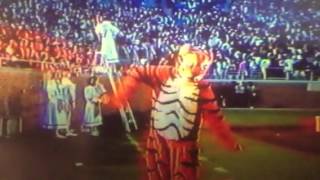 Clemson Tiger Mascot at FSU 1996 Details