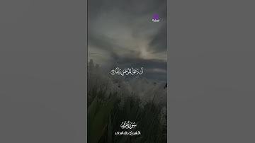 ما تيسر من سورة مريم | أداء مميز للشيخ رضا سعد #القرآن_الكريم #سورة_مريم #رضا_سعد #تلاوة_خاشعة