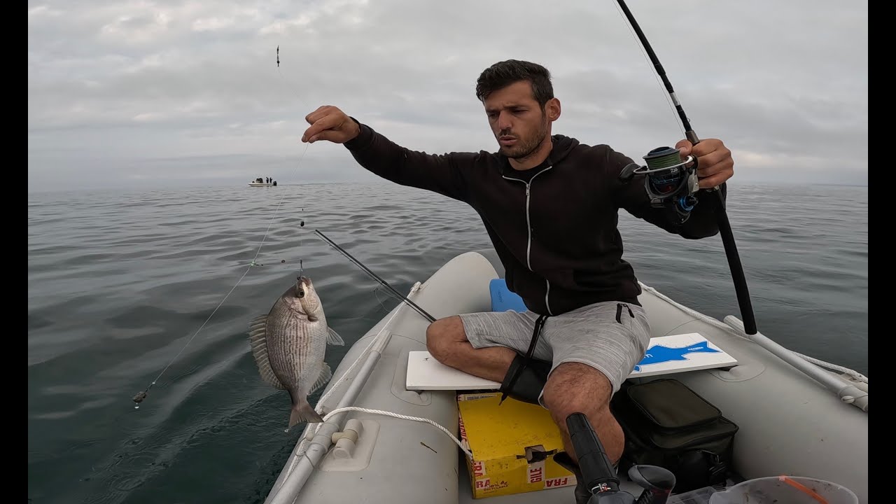 karremi me I mire qe kapa vet ne bregdet per sargo