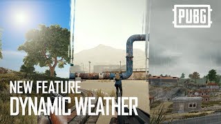 New Feature: Dynamic Weather