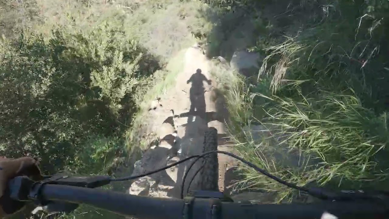 El Prieto 01-14-2026