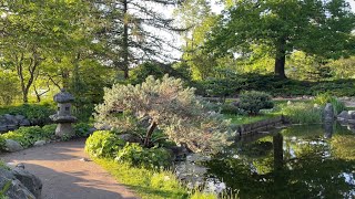 Stockholm Walks: Bergianska botanical garden in soft 9 pm sunshine. Serene & very green by the lake screenshot 2